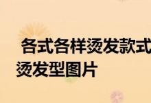  各式各样烫发款式烟花烫 五款最新时髦烟花烫发型图片 