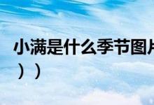 小满是什么季节图片（小满是什么季节（图文））