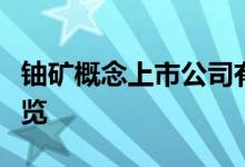 铀矿概念上市公司有哪些铀矿上市公司股票一览