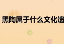 黑陶属于什么文化遗存（黑陶属于什么文化）