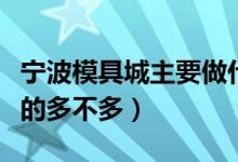 宁波模具城主要做什么模具（宁波做轮胎模具的多不多）