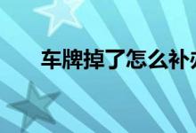  车牌掉了怎么补办 车牌掉了补办流程 