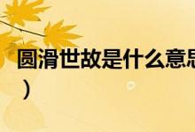 圆滑世故是什么意思啊（圆滑世故是什么意思）