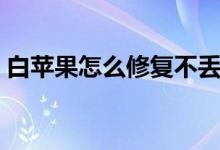 白苹果怎么修复不丢数据（白苹果怎么修复）