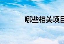  哪些相关项目说明了这些趋势 