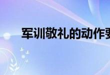 军训敬礼的动作要领（军训敬礼要领）