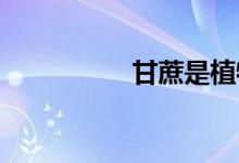  甘蔗是植物的哪个部位 
