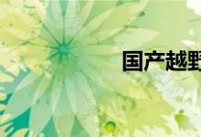  国产越野车十大排名 