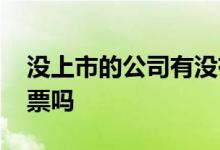 没上市的公司有没有股份 没上市的公司有股票吗