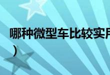 哪种微型车比较实用（如何挑选家用微型轿车）