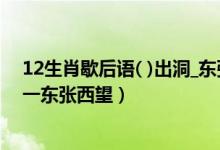 12生肖歇后语( )出洞_东张西望（十二生肖歇后语()出洞一一东张西望）
