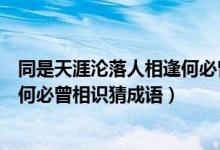 同是天涯沦落人相逢何必曾相识解释（同是天涯沦落人相逢何必曾相识猜成语）