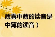 薄雾中薄的读音是（薄荷、单薄、薄纸、薄雾中薄的读音）