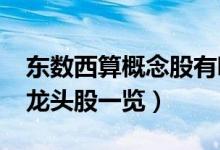 东数西算概念股有哪些股票2022（东数西算龙头股一览）