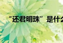 “还君明珠”是什么意思（有什么典故吗）