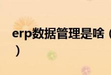 erp数据管理是啥（ERP数据管理员是干嘛的）