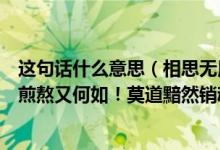 这句话什么意思（相思无用！唯别而已！别期若有定！千般煎熬又何如！莫道黯然销魂！何处柳暗花明！）