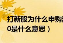 打新股为什么申购额度是0（新股申购额度为0是什么意思）