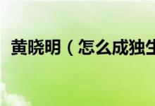 黄晓明（怎么成独生子了 他不是有弟弟吗）