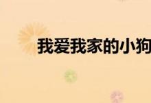 我爱我家的小狗（我爱我家的歌词）