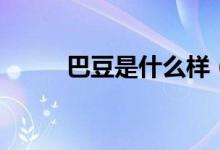巴豆是什么样（巴豆是什么东西）