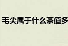 毛尖属于什么茶值多少钱（毛尖属于什么茶）