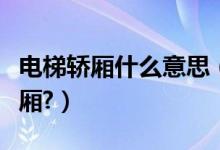 电梯轿厢什么意思（电梯应该称为桥厢还是轿厢?）