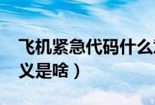 飞机紧急代码什么意思（7500代码代表的意义是啥）