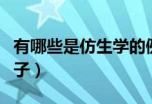 有哪些是仿生学的例子（介绍几种仿生学的例子）