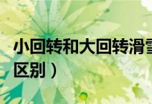小回转和大回转滑雪板区别（小回转和大回转区别）