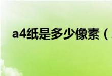 a4纸是多少像素（A4纸是多少像素大小）