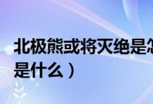 北极熊或将灭绝是怎么回事（北极熊灭绝原因是什么）