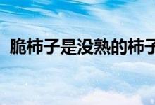 脆柿子是没熟的柿子吗脆柿子可以直接吃吗 