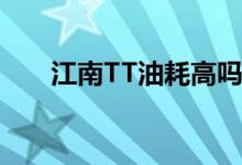  江南TT油耗高吗真实车主是这样说的 