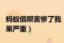 蚂蚁借呗害惨了我（网友称太频繁借钱逾期后果严重）