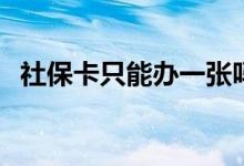 社保卡只能办一张吗 社保卡异地可以用吗 