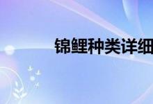 锦鲤种类详细介绍（锦鲤种类）