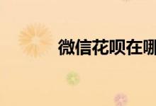  微信花呗在哪 微信花呗的位置 