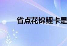 省点花锦鲤卡是真是假（有什么用）