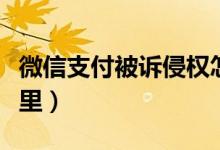 微信支付被诉侵权怎么回事（微信支付侵权哪里）