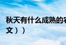 秋天有什么成熟的农作物（秋天有什么花（图文））