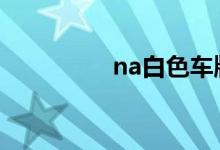  na白色车牌是什么意思? 