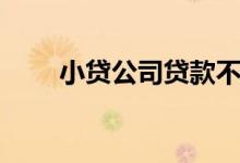 小贷公司贷款不还案例（小贷口子）