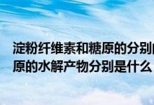 淀粉纤维素和糖原的分别的水解产物是什么（淀粉纤维素糖原的水解产物分别是什么）