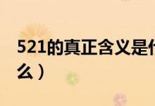 521的真正含义是什么（521的真正含义是什么）