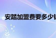 安踏加盟费要多少钱（安踏加盟费要多少）