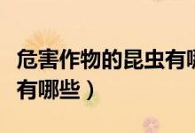 危害作物的昆虫有哪些（对农作物有益的昆虫有哪些）
