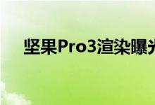  坚果Pro3渲染曝光的“刘海平”怎么样 