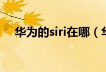 华为的siri在哪（华为的siri在哪里打开）