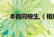 本自同根生,（相煎何太急是什么意思）